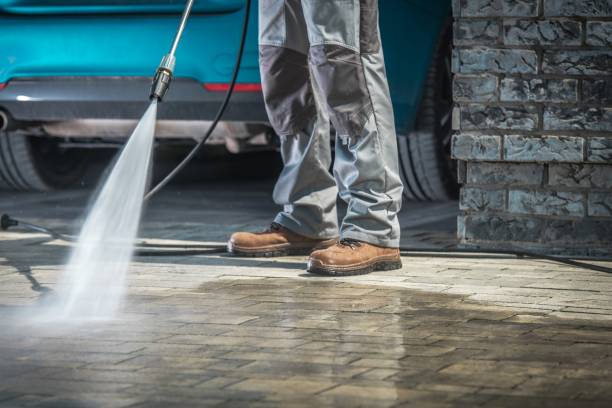 Best Roof Washing  in Lake Vla, IL