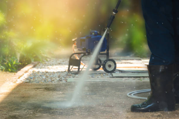 Best Spring Cleaning  in Lake Vla, IL
